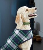 Home Goods Katahdin H8XZ5308 Novelty Dog Collar Unisex L.L.Bean - Image 2